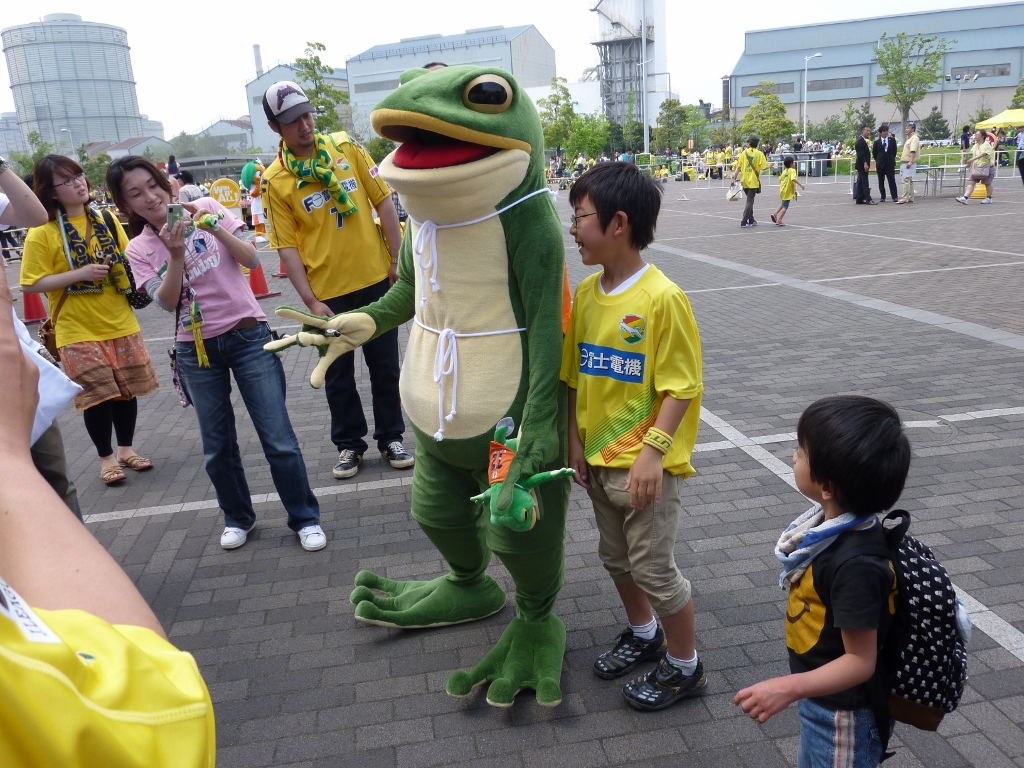 カエルがいました!