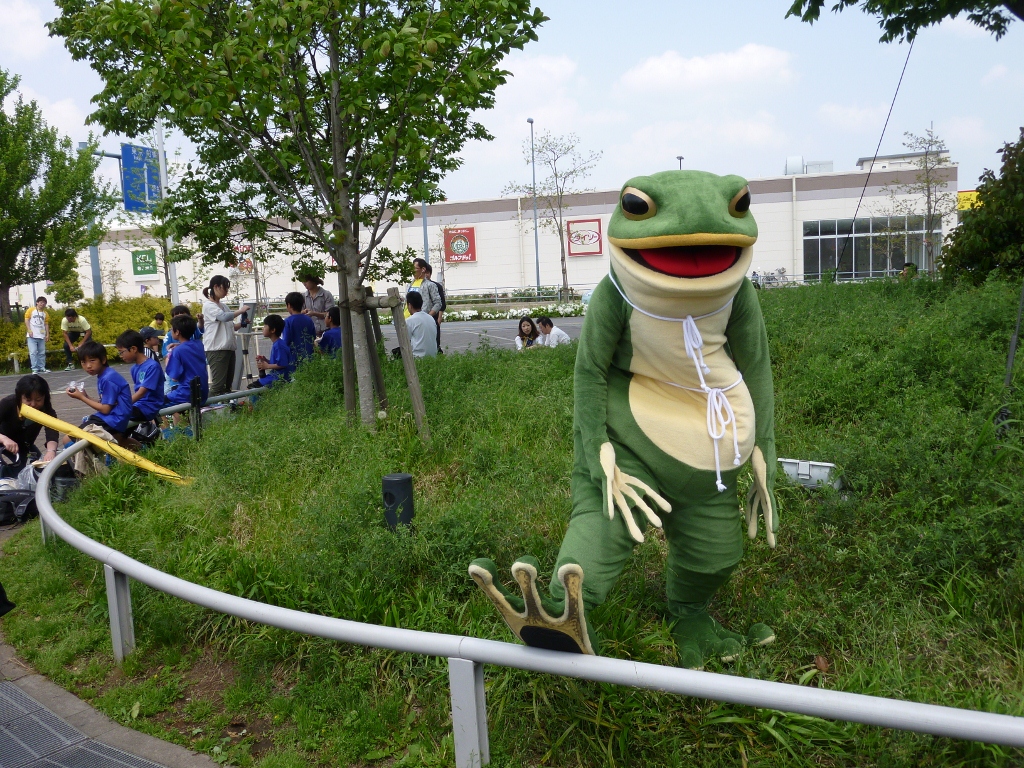愛媛FC熱烈サポーター?カエルの一平くん
