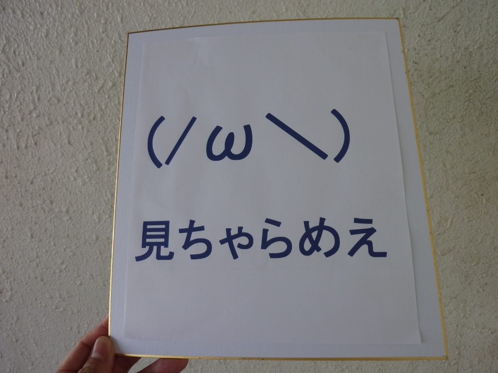 対Mスプラッシュ迎撃用アイテム(笑)