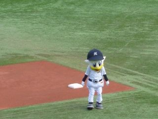 鴨シージャンプ!