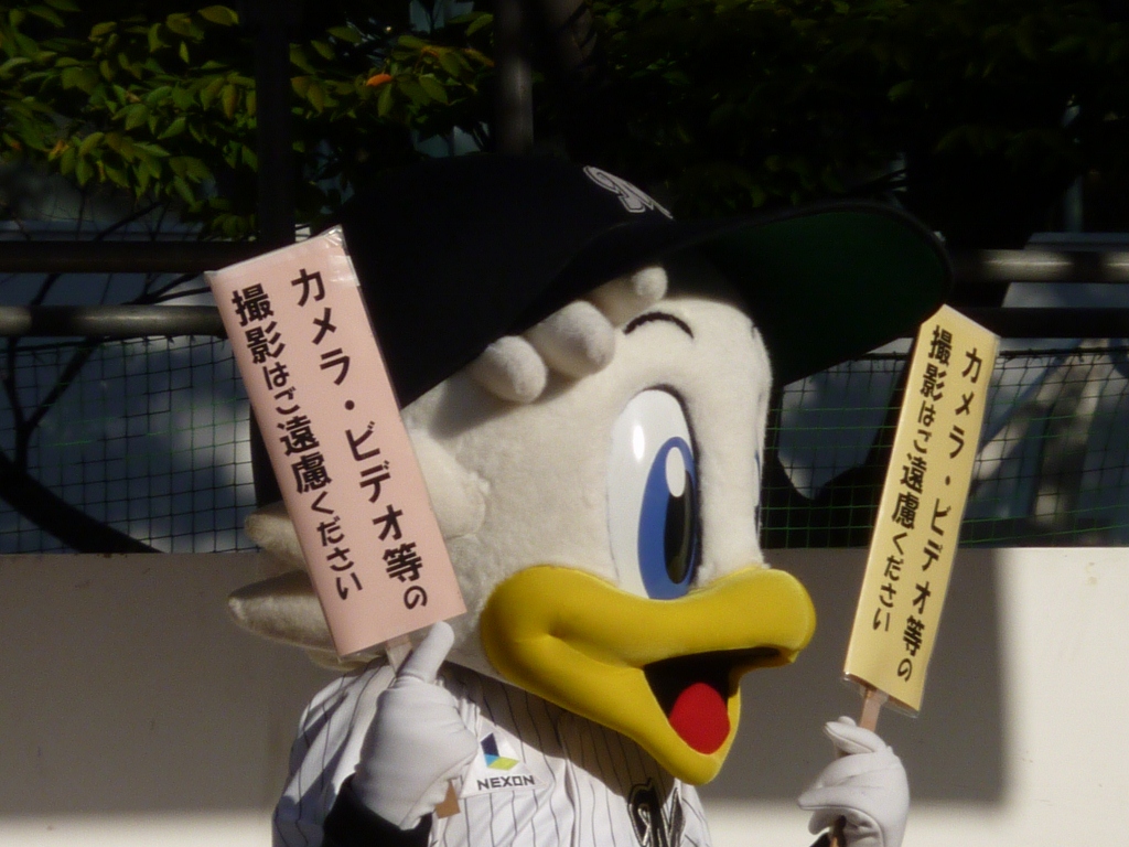 気に入ったみたい♪
